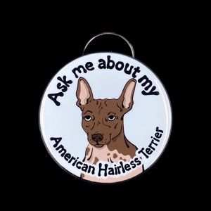 American Hairless Terrier Bottle Opener Keychain, Dog Accessories 2.25"